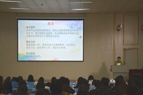 德赢AC米兰中国官方网站召开2019届毕业生就业指导会